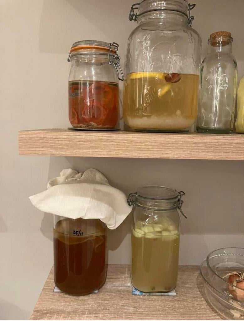 Kefir, melkkefir, waterkefir en kombucha scoby, Ophalen of Verzenden, Zo goed als nieuw