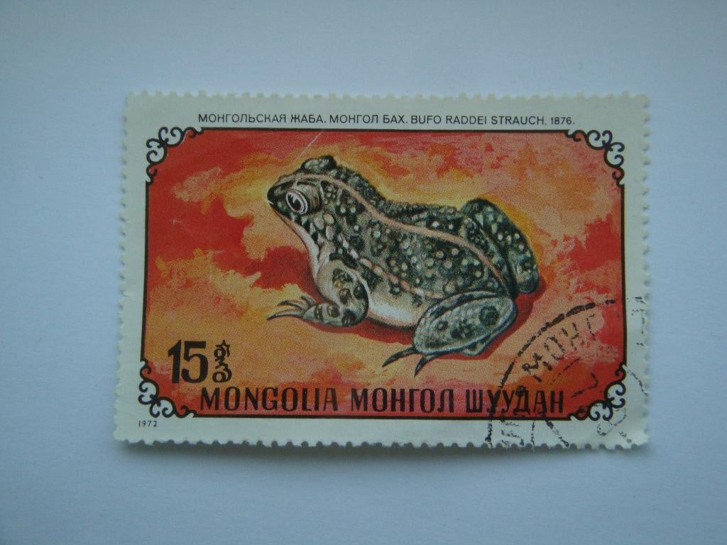 Mongolië postzegel 15 Mongo Mongoolse pad Bufo radder., Verzenden, Gestempeld, Oost-Azië