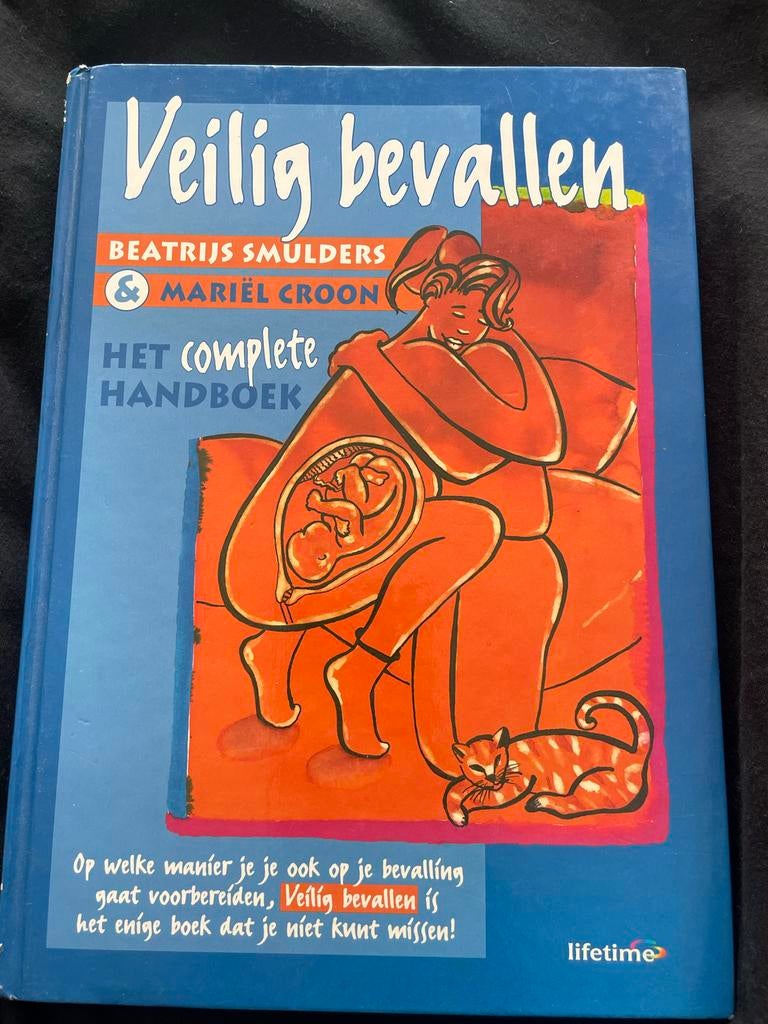 Veilig bevallen - Het complete handboek, Ophalen of Verzenden, Zo goed als nieuw, Zwangerschap en Bevalling