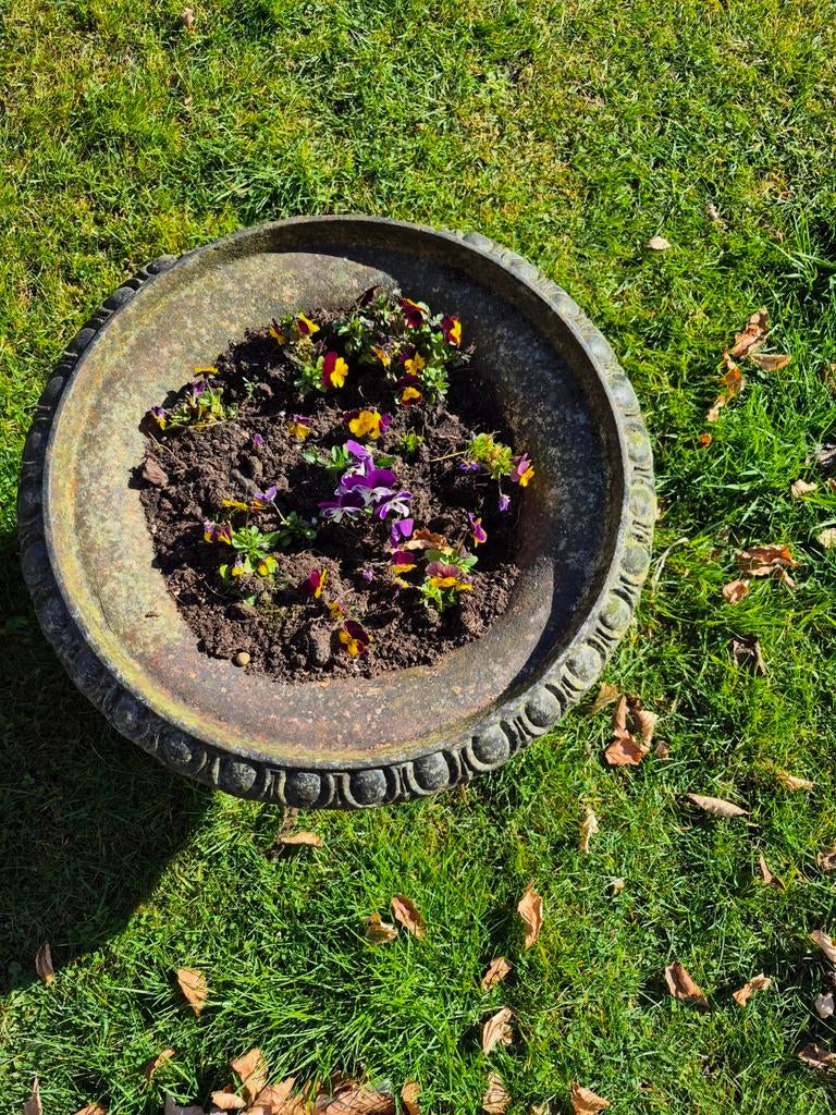 gietijzeren vazen op sokkel, Tuin en Terras, Ophalen, Bloeit niet, Overige soorten, Volle zon