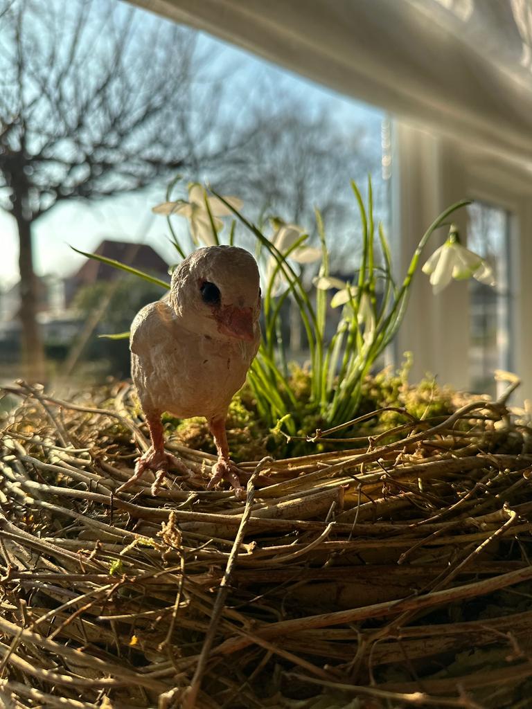Kuikentje kip pasen paashaas  aardewerk wattenpopje, Ophalen of Verzenden