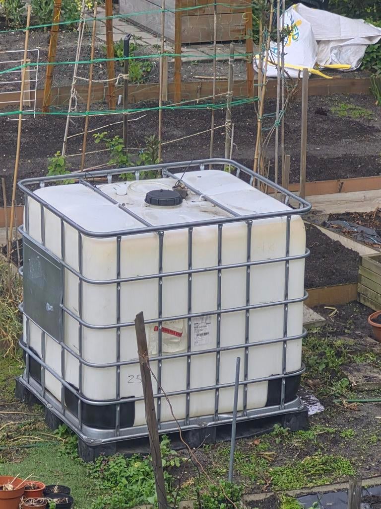 Regenton IBC container, Ophalen of Verzenden