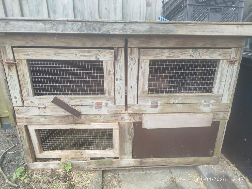 Gratis 2 konijnen met hok, Dieren en Toebehoren, Knaagdieren en Konijnen | Hokken en Kooien, Ophalen, 110 cm of meer, Hok, 90 cm of meer