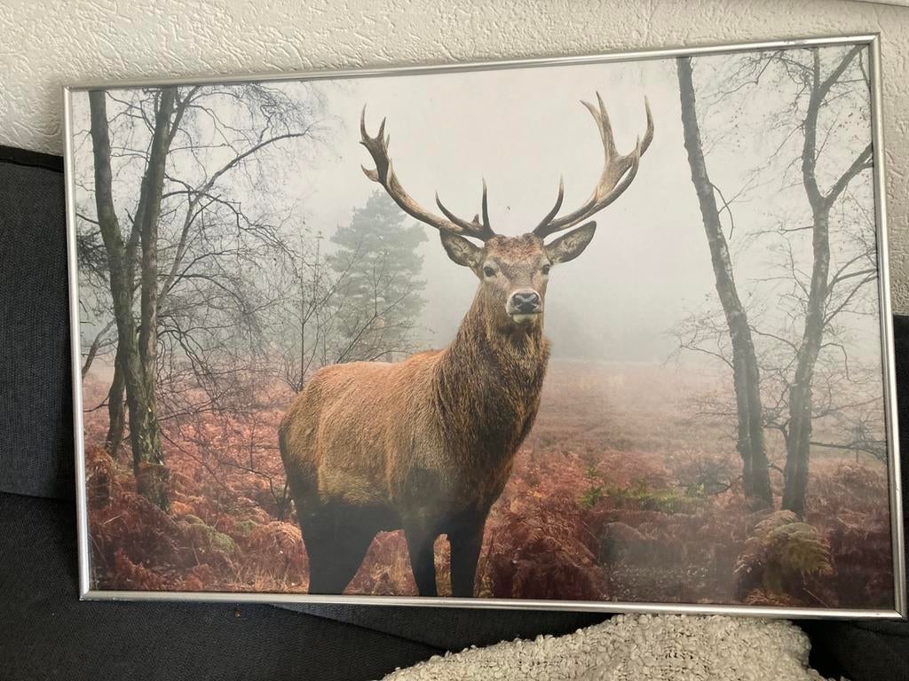 Ikea afbeelding in lijst 93x72, Ophalen, Zo goed als nieuw, Schilderij, 75 tot 100 cm