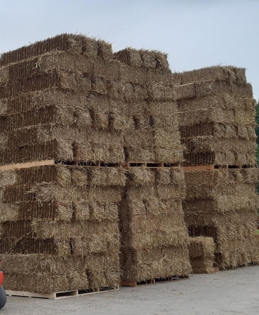 Tarwe stro in kleine pakken van hoge kwaliteit., Dieren en Toebehoren, Ophalen, Vee
