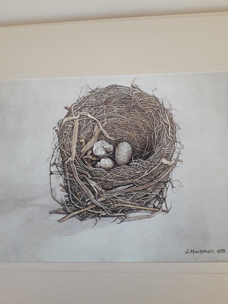 reproductie "merelnest" Jopie Huisman, Ophalen