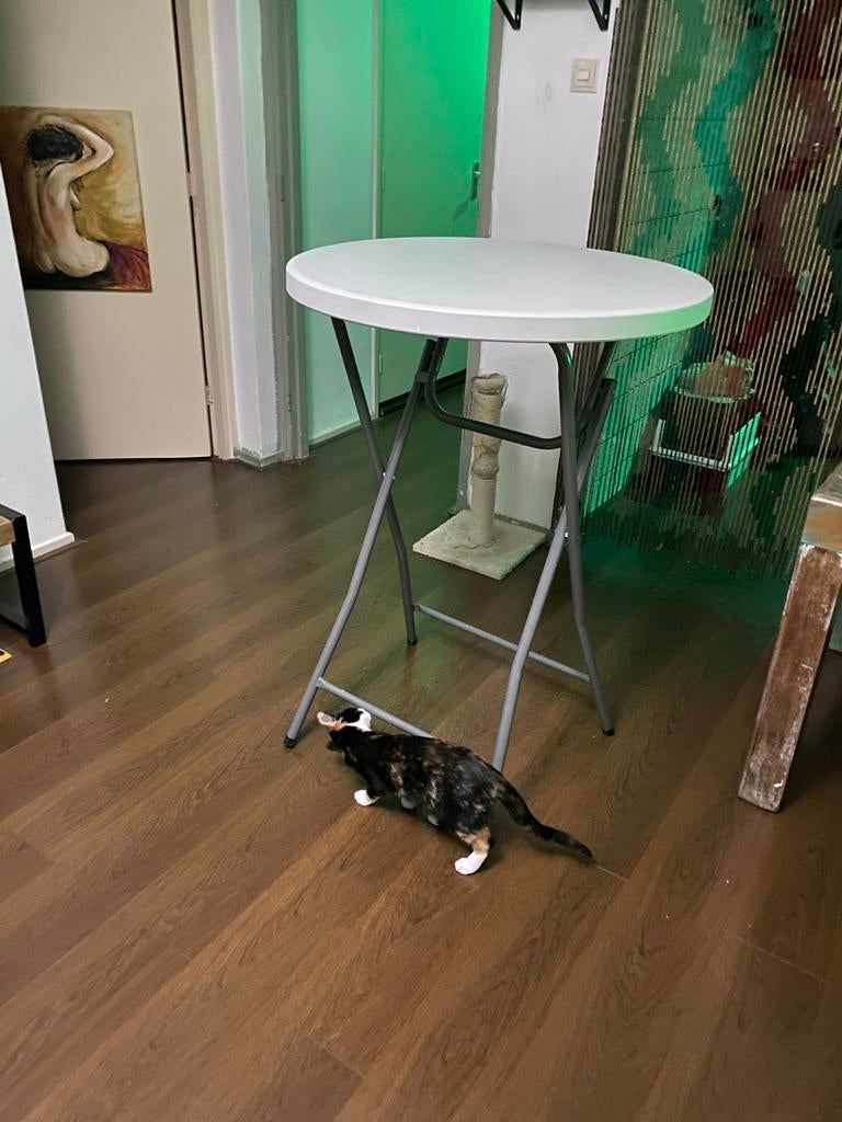 Stafafel inklapbaar voor feestjes, Ophalen, Overige materialen, Rond, Zo goed als nieuw