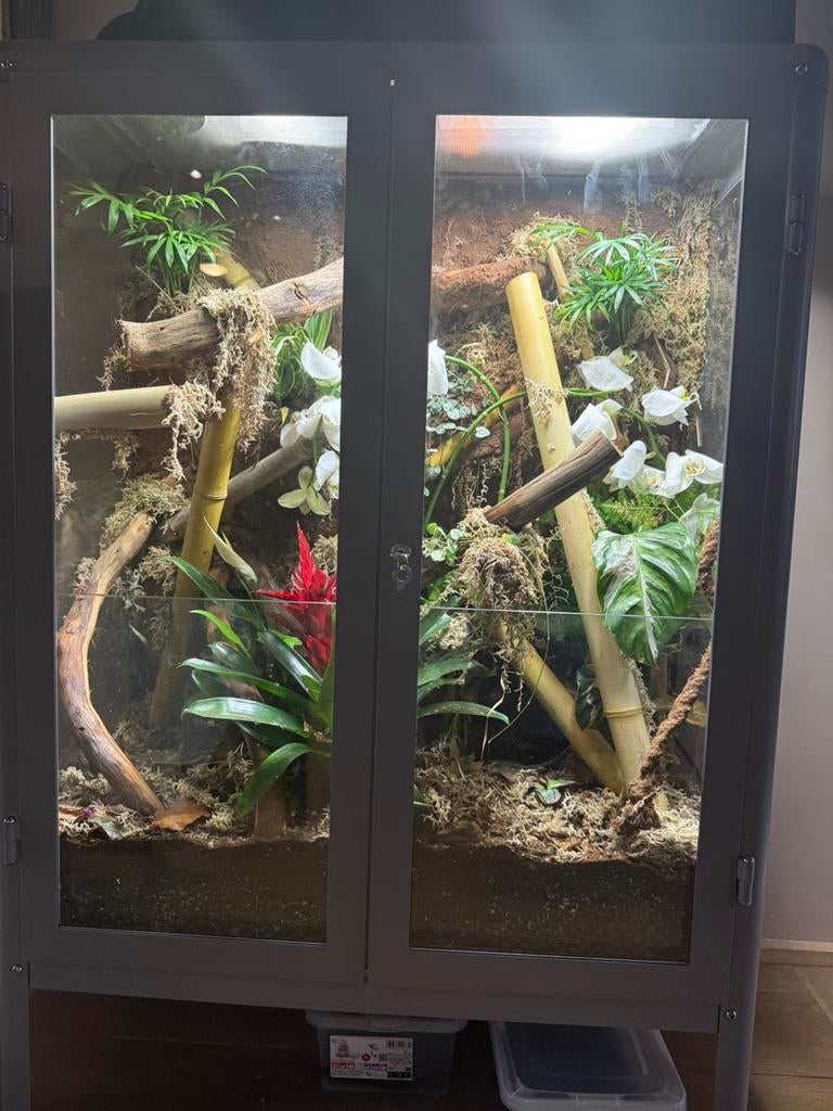 Terrarium uit een ikea fabrikor 81x42x113, Ophalen, Zo goed als nieuw