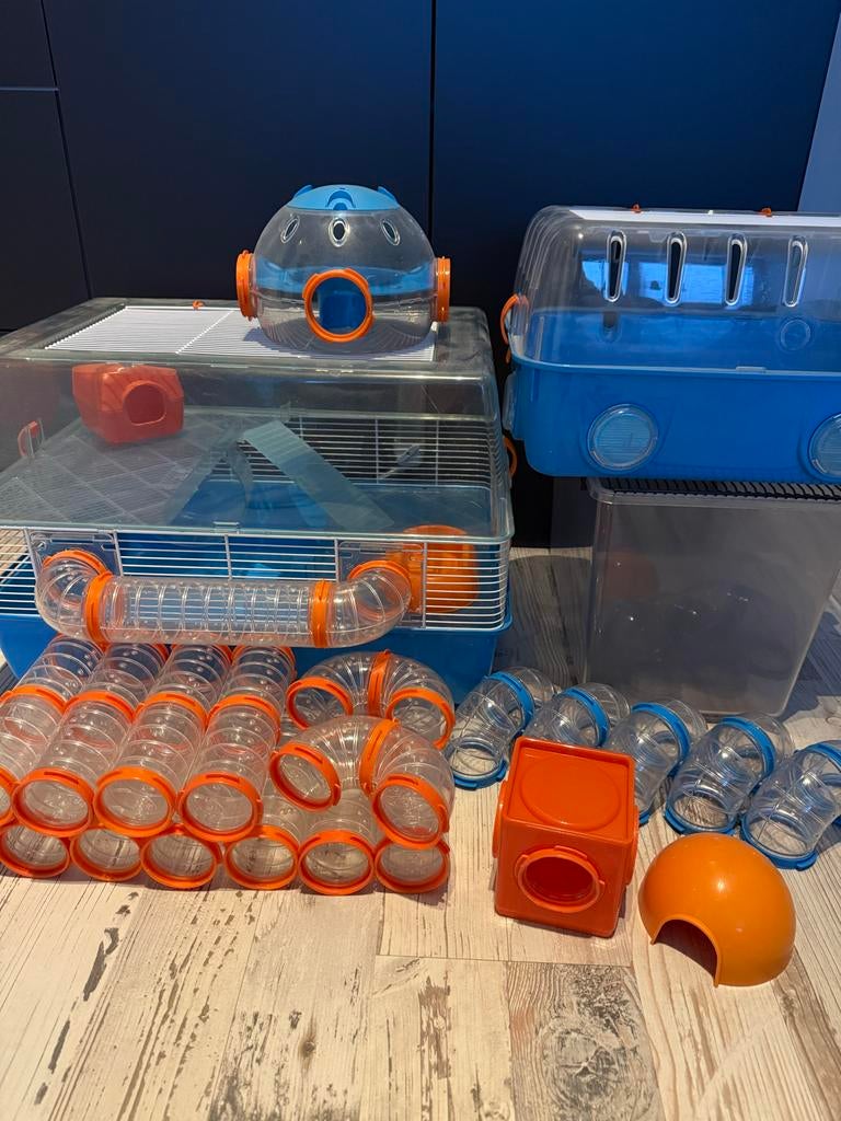 Ferplast hamsterkooi met veel accessoire, Minder dan 60 cm, Kooi, Minder dan 75 cm, Ophalen of Verzenden