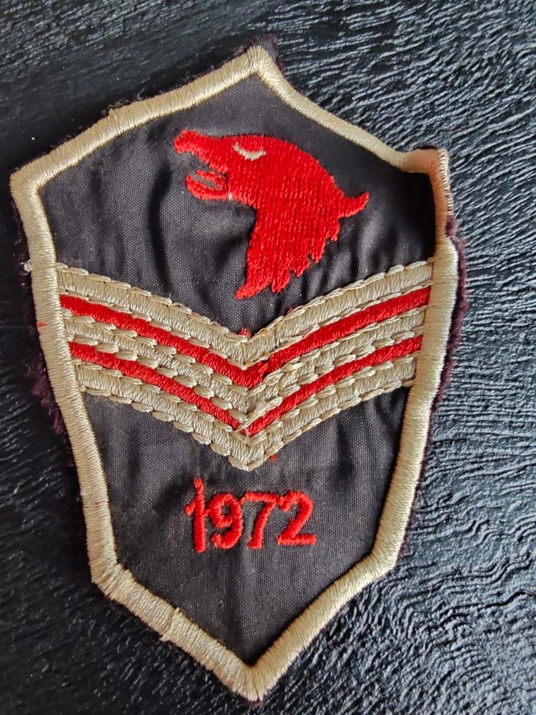 Patch 1972 Airborne, Ophalen of Verzenden, Landmacht, Amerika, Embleem of Badge