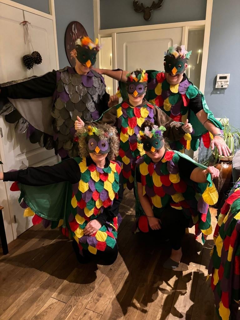 Carnavals kleding voor een groep, Kleding | Dames, Ophalen, Carnaval, Maat 42/44 (L), Kleding