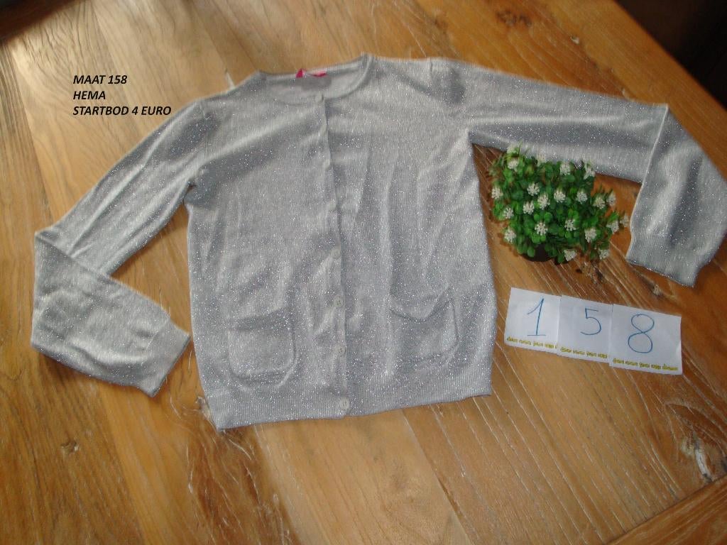 grijze glitter gilet hema, Meisje, Trui of Vest, Ophalen of Verzenden, Zo goed als nieuw