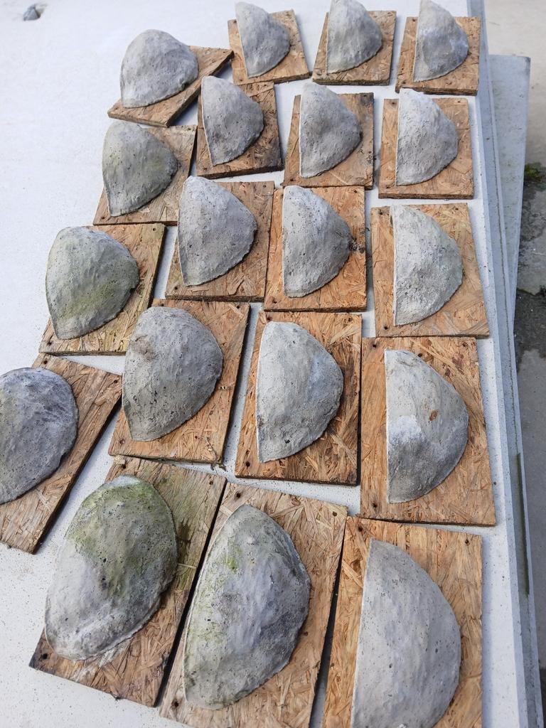 Zwaluwnesjes, Ophalen of Verzenden