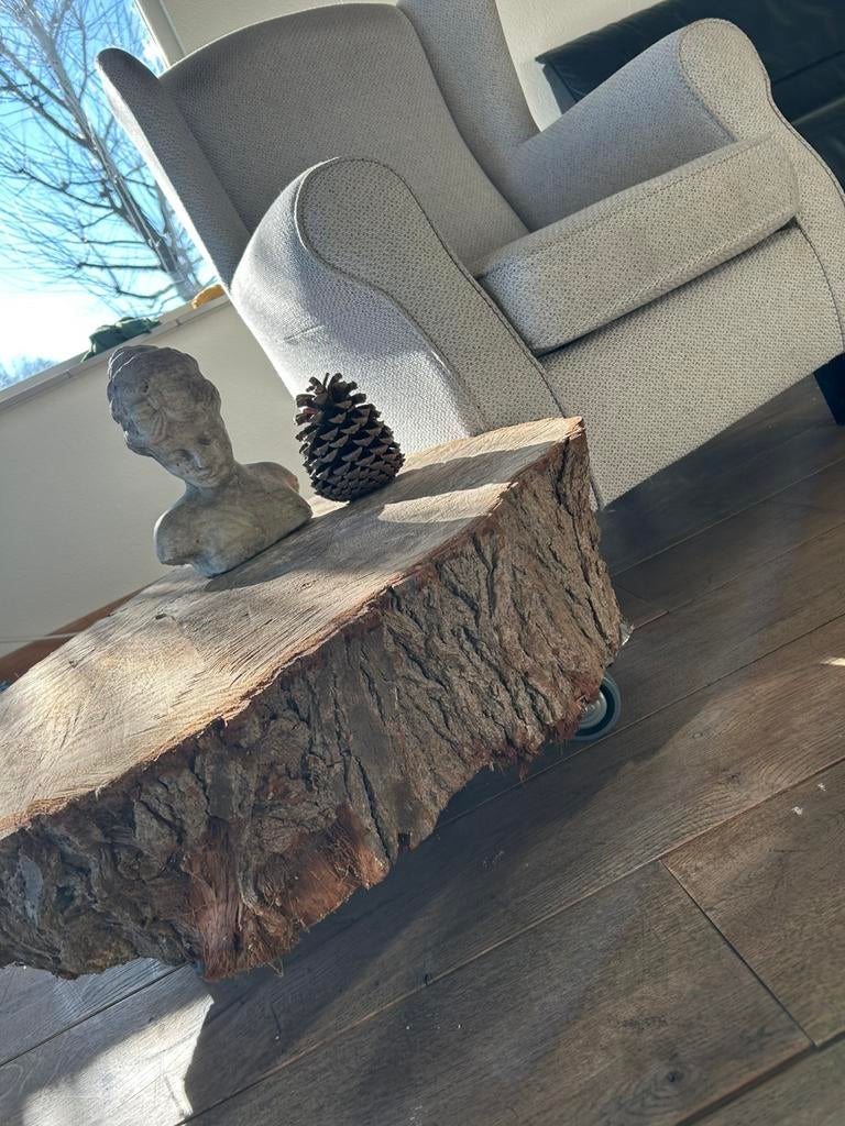 Boomstam salon tafel, 100 tot 150 cm, Zo goed als nieuw, Minder dan 50 cm, Rechthoekig