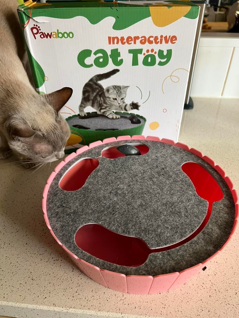 Pawaboo interactive cat toy, Ophalen of Verzenden, Nieuw
