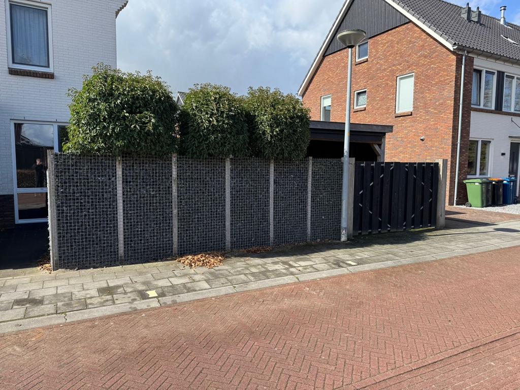 Schutting & Poort Bieden! Zelf demonteren, Ophalen, 6 meter of meer, Hout, 1 tot 2 meter