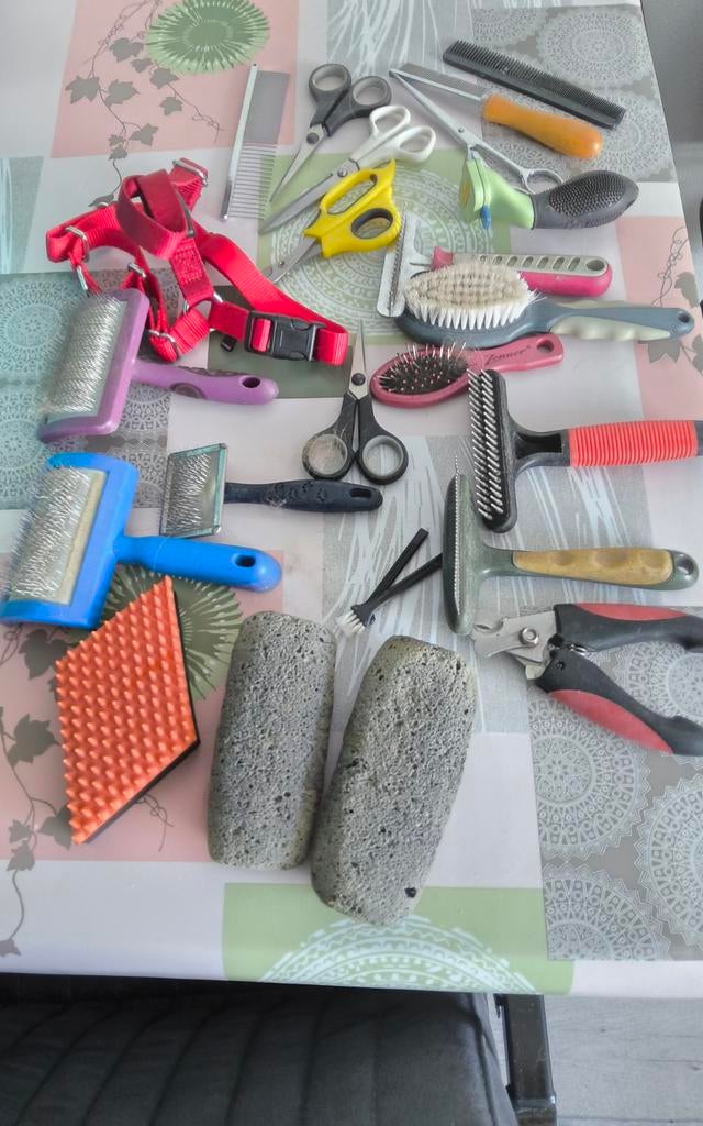 Hondenbenodigdheden,met shredder etcetera, Ophalen