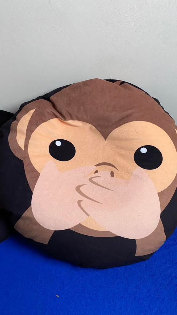 Nieuw emotie kussens, Ophalen, Nieuw, Kleed of Kussen