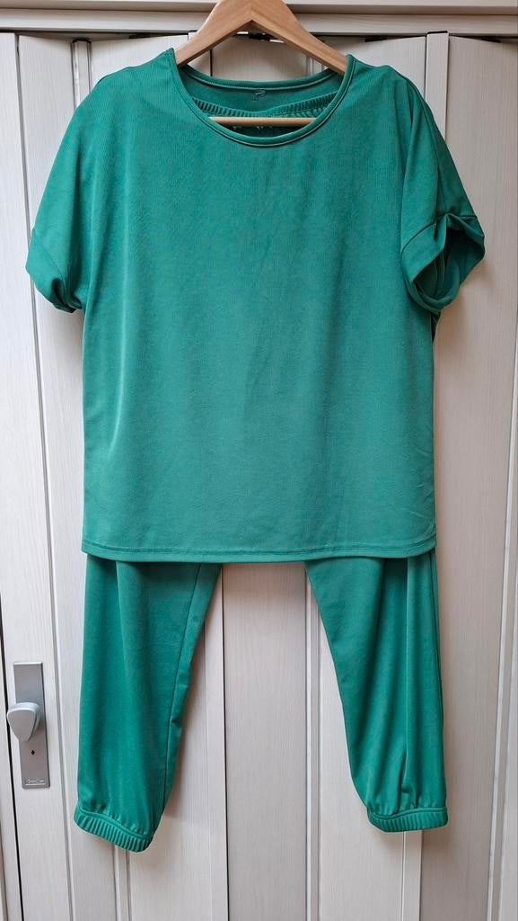 Dames pak, Ophalen of Verzenden, Zo goed als nieuw, Maat 38/40 (M)