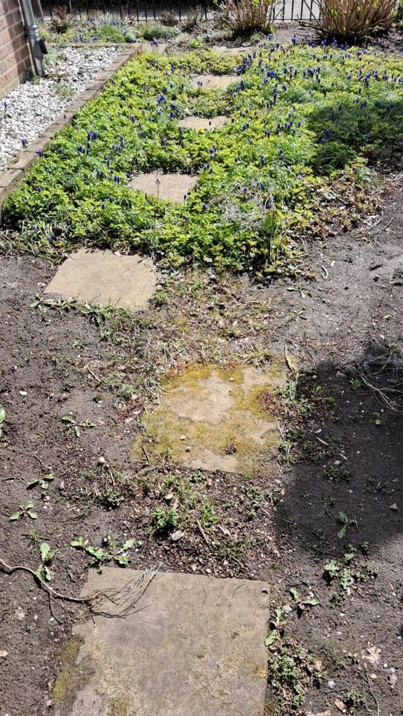 16 terrastegels 50x50 cm, Ophalen