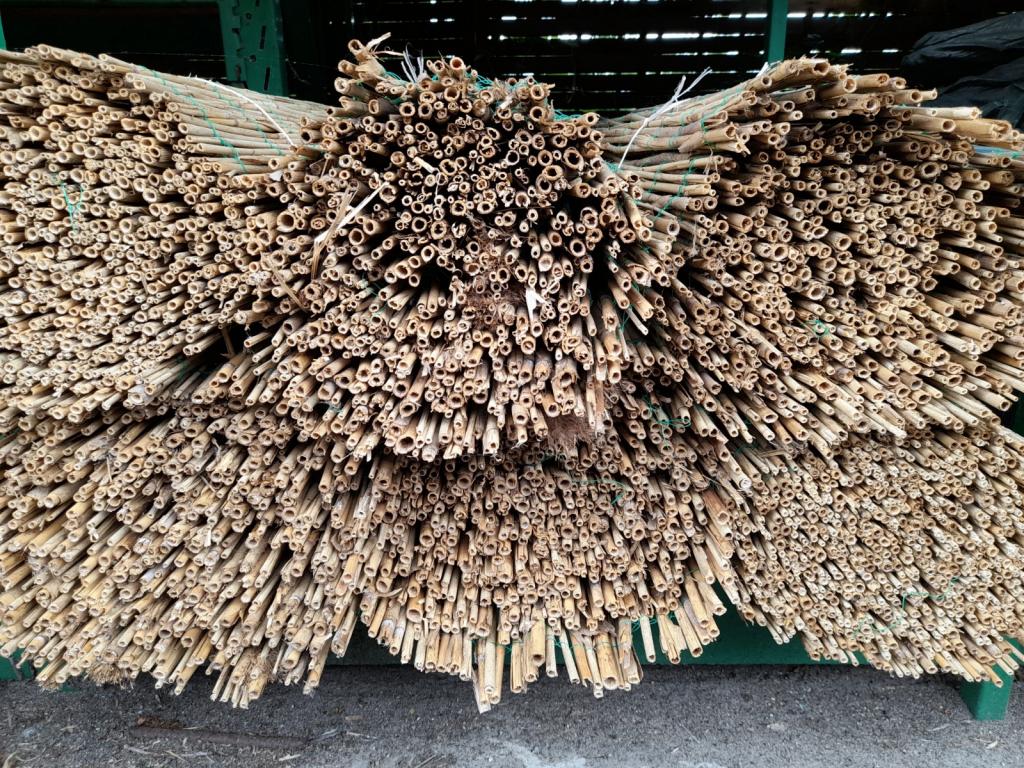 Rietmatten, mooie kwaliteit (*), Niet ingevuld, Niet ingevuld, Nieuw, Ophalen of Verzenden