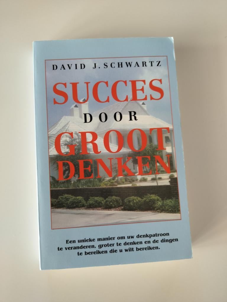 Succes door Groot Denken - David J. Schwartz (Boek), Ophalen of Verzenden, Gelezen, David J. Schwartz