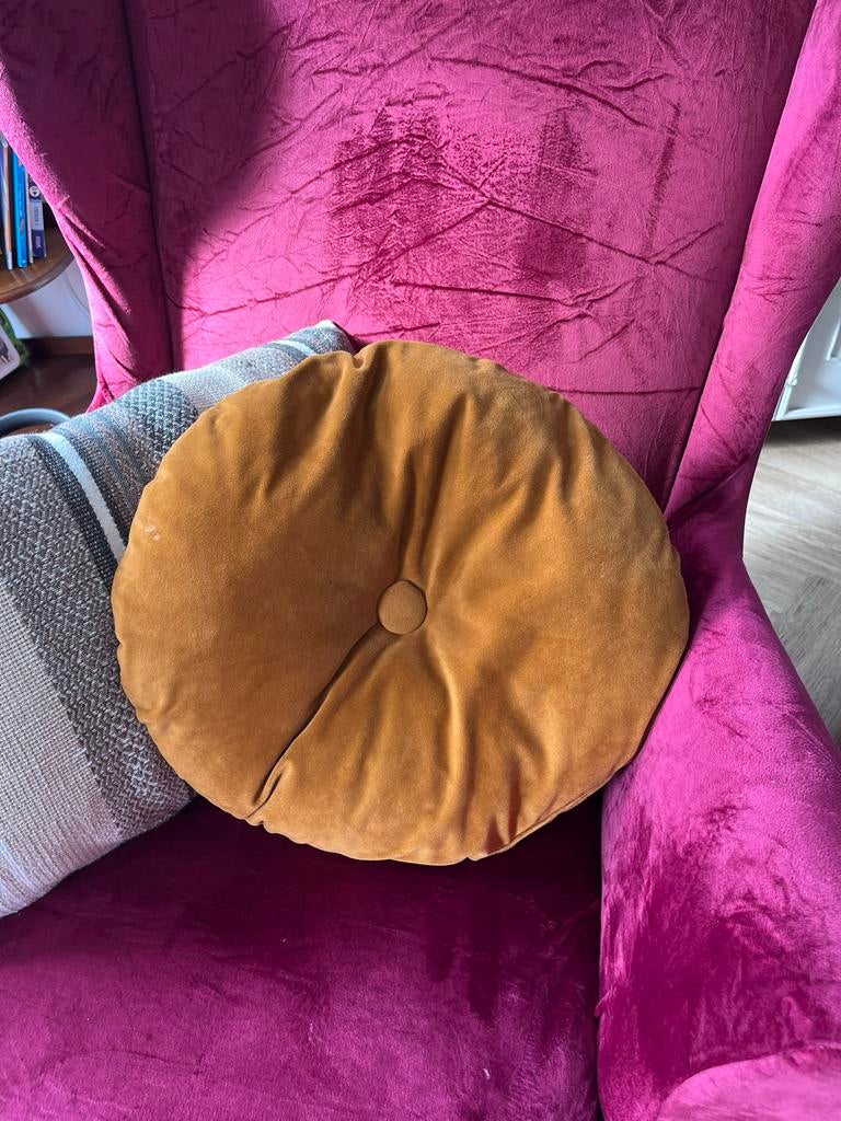 Gratis: Twee sierkussens (rond en rechthoekig), Huis en Inrichting, Woonaccessoires | Kussens, Ophalen of Verzenden, Gebruikt