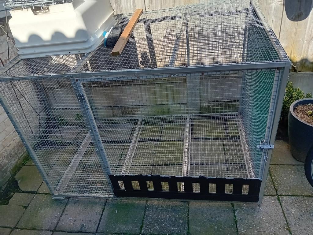 Te koop ren voor postduiven, Meerdere dieren, Postduif