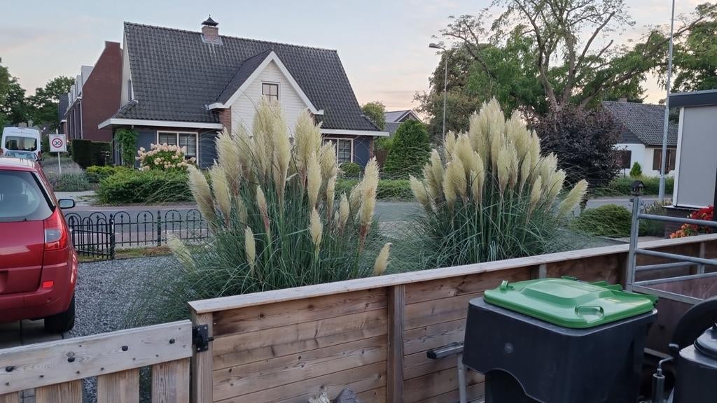 Pampagras 2x gratis afhalen, Tickets en Kaartjes, Twee personen, Ticket of Toegangskaart