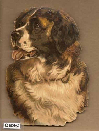 Hondenkop Sint Bernard poezieplaatjes 5032, Verzamelen, Ophalen of Verzenden