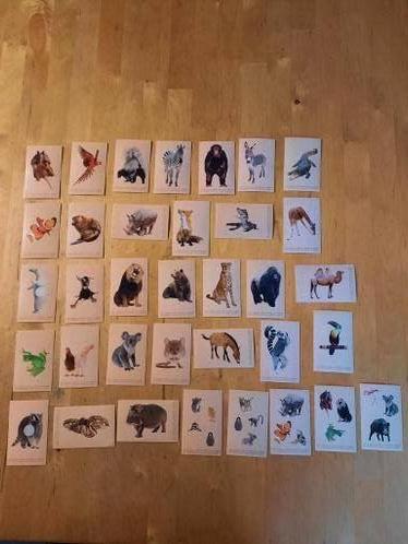 Tom & Co - Delhaize Plaatjes - zie lijst, Verzamelen, Ophalen of Verzenden