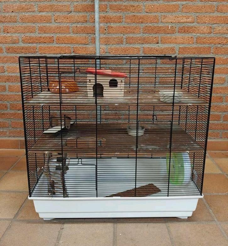 Hamsterhok, Ophalen, Minder dan 75 cm, 60 tot 90 cm