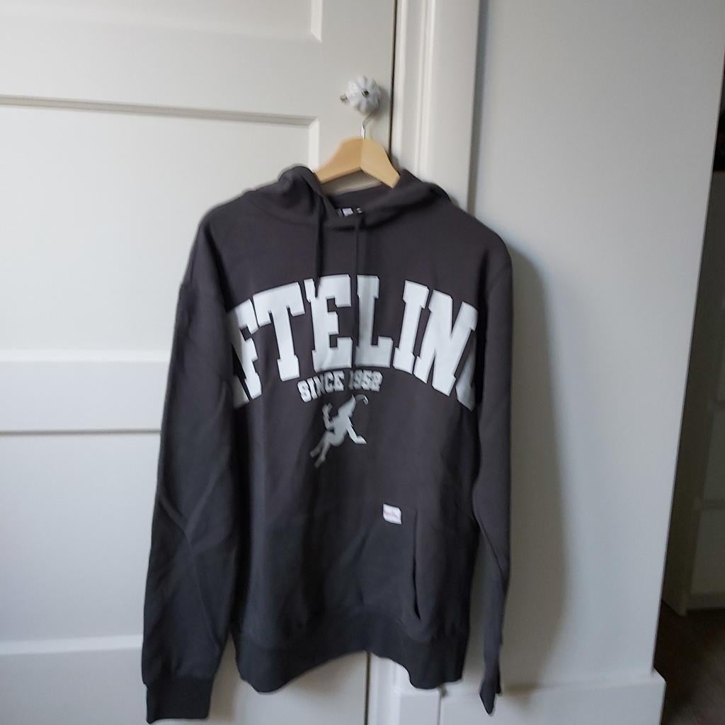 Efteling Hoodie Unisex - Maat L, Maat 52/54 (L), Nieuw, Ophalen of Verzenden, Efteling