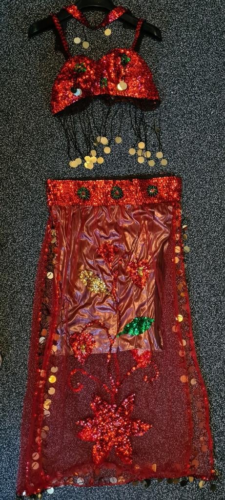 Carnaval buikdans rok en top kostuum harem rood, Ophalen of Verzenden, Zo goed als nieuw, Rood, Overige typen