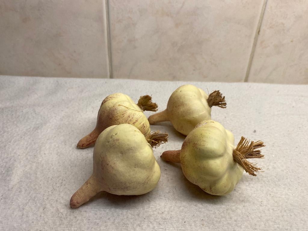 Decoratieve Knoflook Bollen, Ophalen of Verzenden