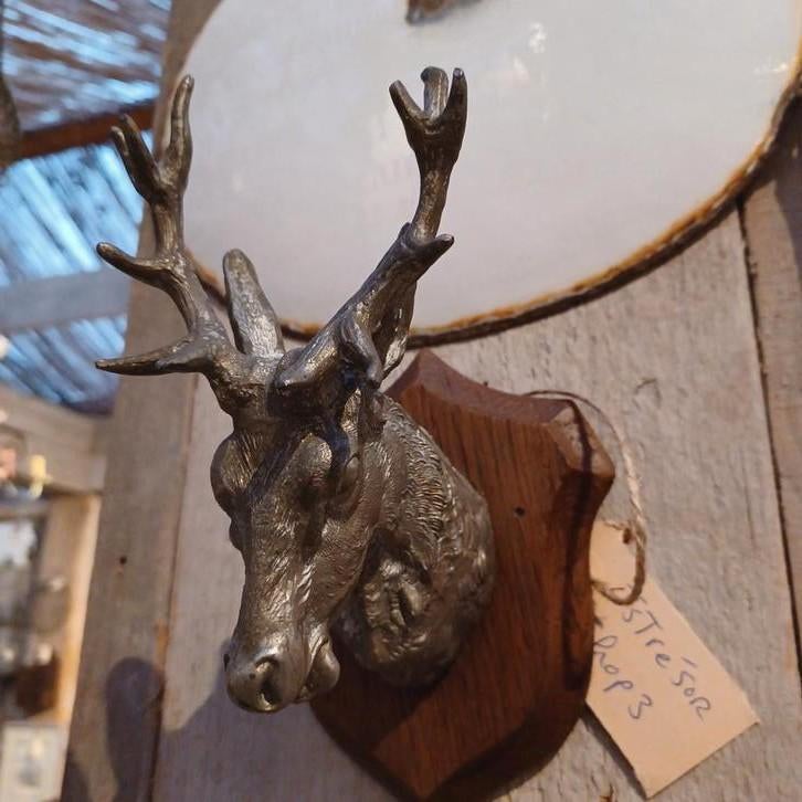 Uniek Frans Bronzen hertekop/edelhertkop, Ophalen