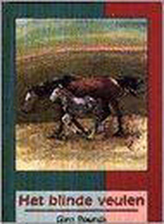 het blinde veulen, Ophalen of Verzenden, Zo goed als nieuw
