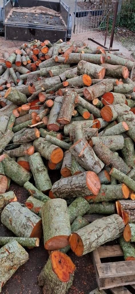 Elzenhout & haardhout - Nog enkele m3 beschikbaar!, Tuin en Terras, Minder dan 3 m³, Ophalen of Verzenden, Elzenhout, Blokken