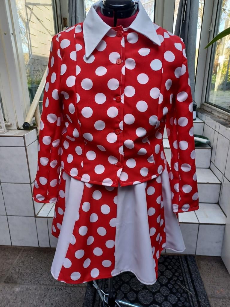 Karnavalspakje, Ophalen of Verzenden, Zo goed als nieuw, Maat 38/40 (M), Carnaval