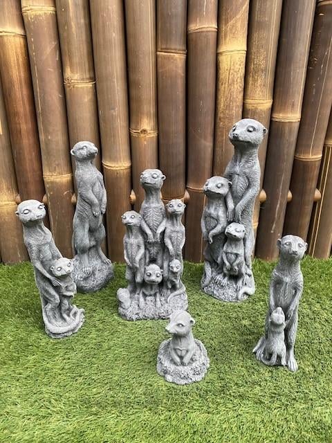 Hele stokstaartjes familie nr.222