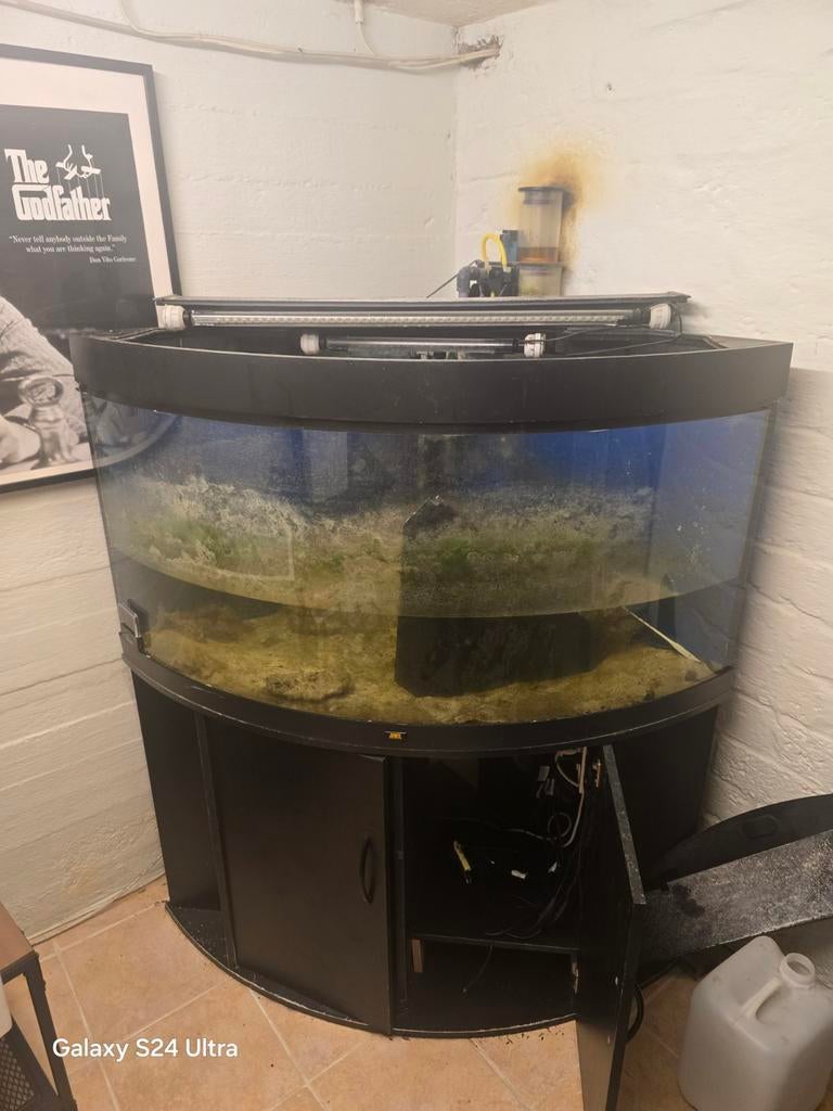 Zoutwater aquarium  snell weg, Ophalen of Verzenden, Leeg aquarium