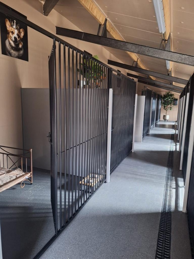 Luxe hondenvakantie voor jouw trouwe viervoeter!, Pension of Dagopvang