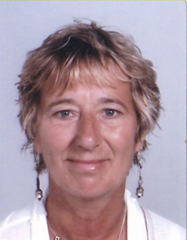 Bijles Engels, Bijles