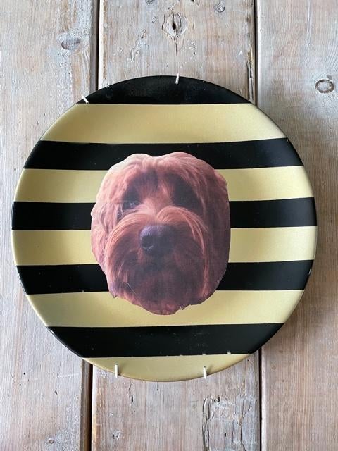 Sierbord / wandbord hond Labradoedel Goud met zwart. PIP., Ophalen