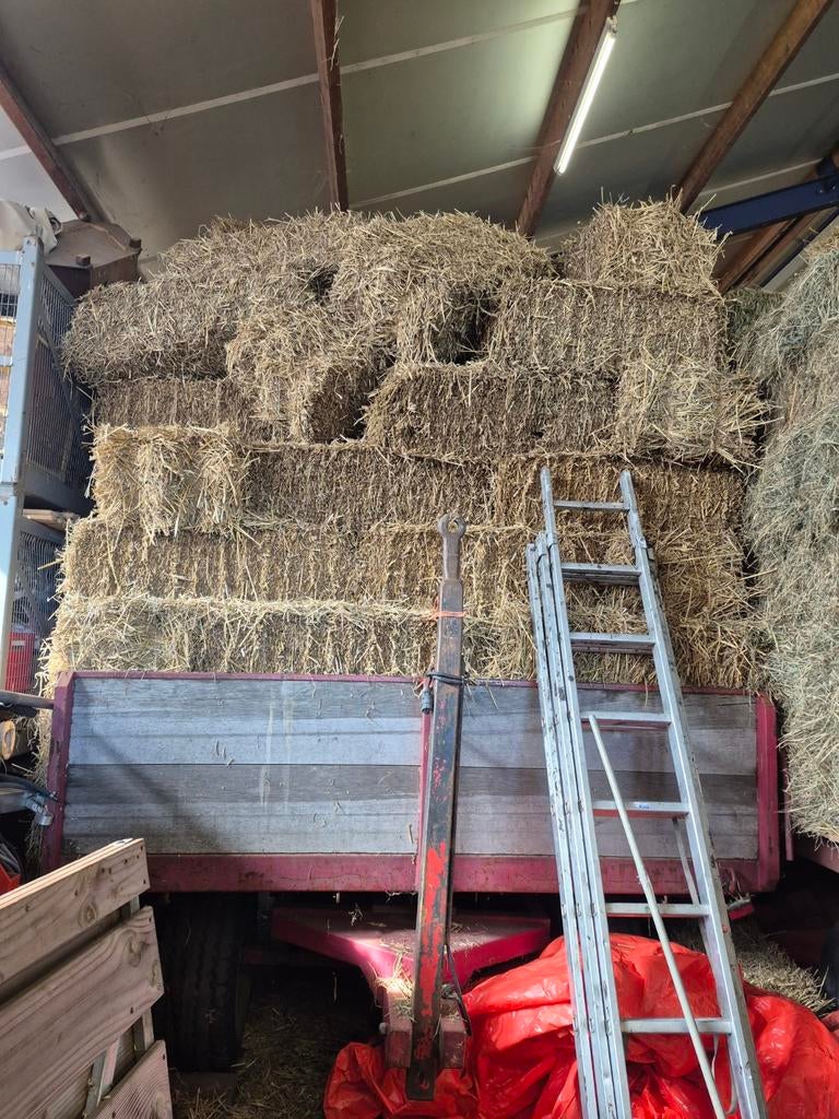 Strobalen, Ophalen of Verzenden, Nieuw, 250 cm of meer, Overige typen