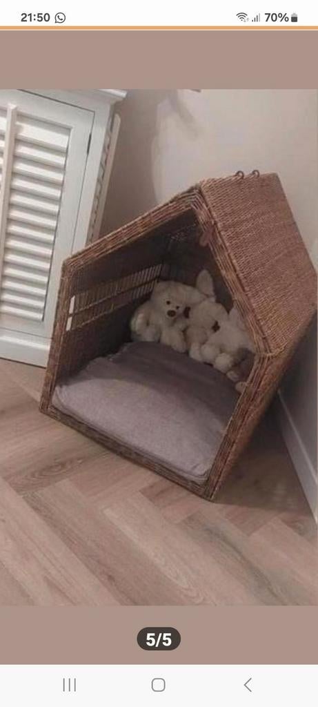 Honden mand/huis riviera de, Ophalen, Overige