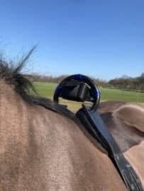 Geboortemelder / Birthalarm TE HUUR !, Ophalen, Overige soorten