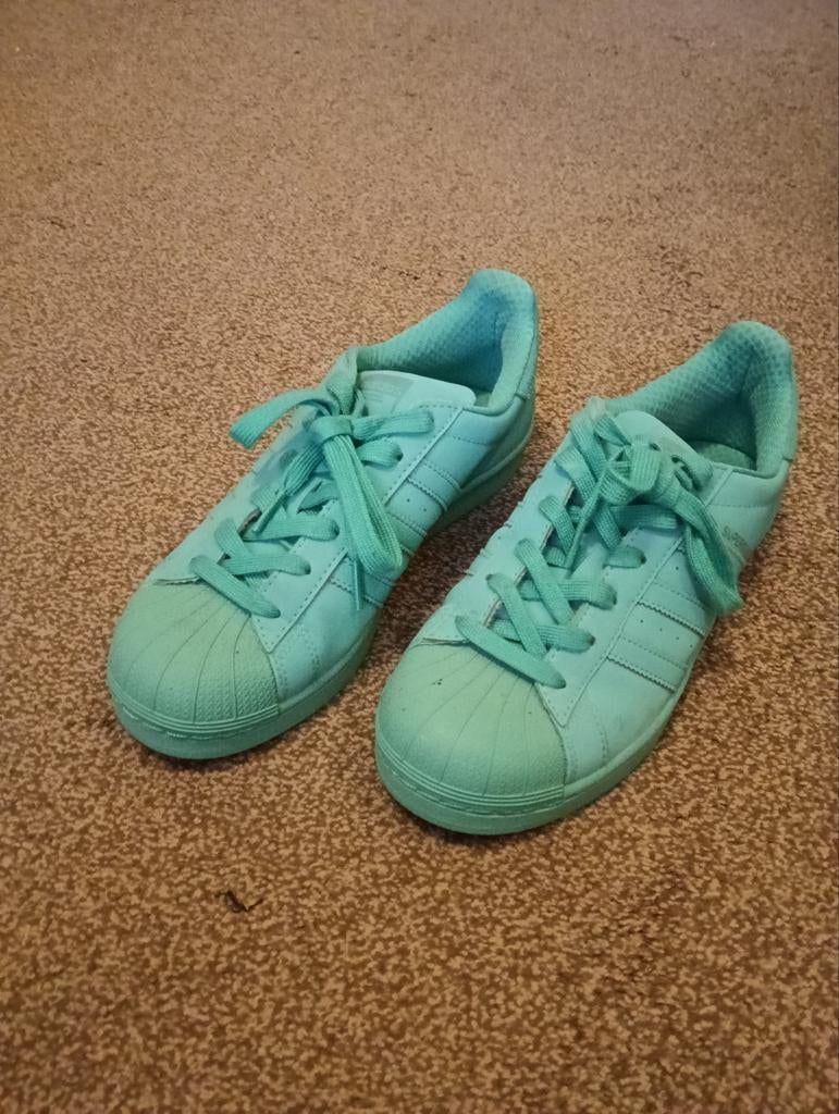 Adidas superstar 38 2/3., Adidas, Ophalen of Verzenden, Zo goed als nieuw, Sneakers of Gympen