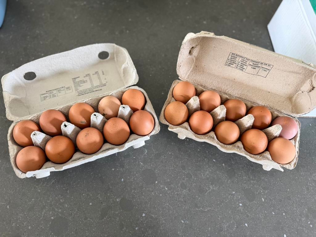 🥚 Verse scharreleieren te koop! 🐔, Ophalen of Verzenden, Zo goed als nieuw, Overige typen