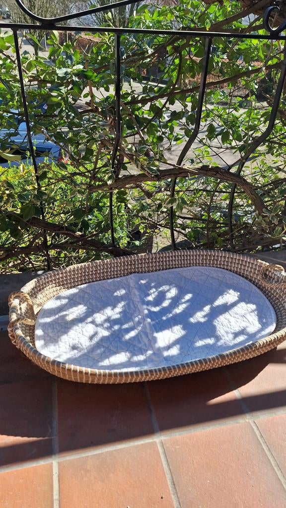 Mooie Mozes mand voor baby's, Ophalen of Verzenden, Gebruikt, Wieg